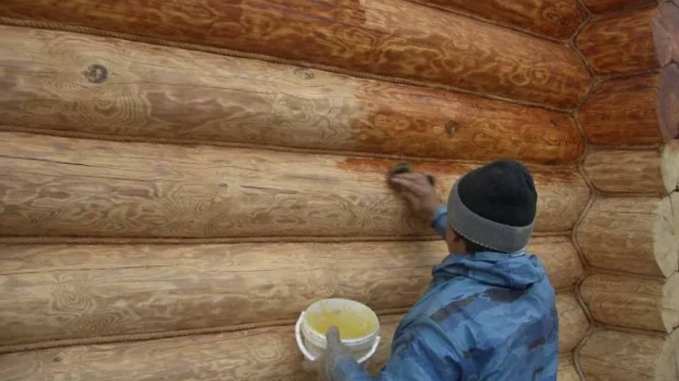 Начал отделку - ОБРАБОТАЙ сруб от плесени, грибка и короеда! Чем защитить сруб из бревна при отделке смотреть онлайн