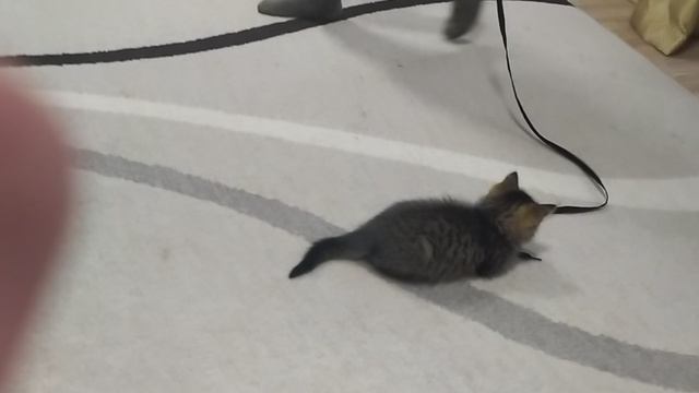 Играю с Малькой