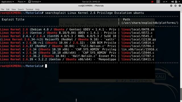 27- Post Gaining Access - Privilege Escalation - Kernel Level смотреть онлайн
