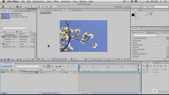 5. Imported Files and the Composition Window - After Effects CS5 101: Core After Effects CS5 смотреть онлайн