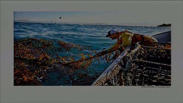 Whalefest Monterey 2017 Abalone Farming for Fun & Profit смотреть онлайн