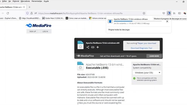 Descargar Apache NetBeans 13 смотреть онлайн