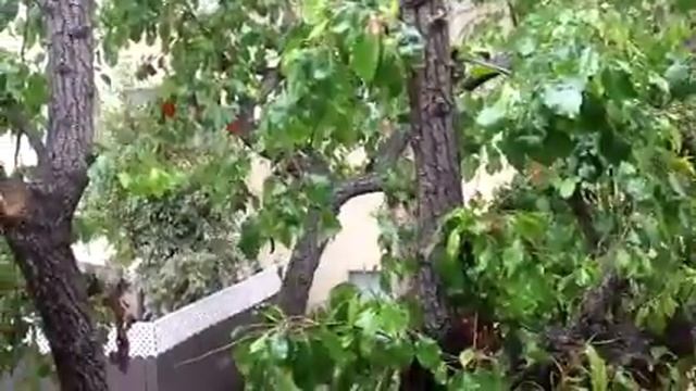 IPAD 3 CAMERA DEMO смотреть онлайн