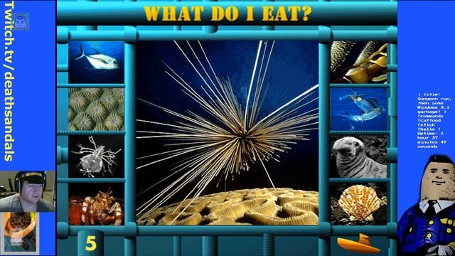 Undersea Adventure (Windows 3.1): Where's Spongebob? смотреть онлайн