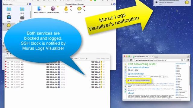 Murus Logs and Logs Visualizer смотреть онлайн
