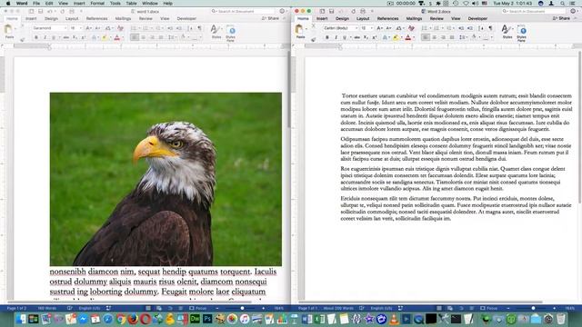 macOS Proxy icon and some related features смотреть онлайн