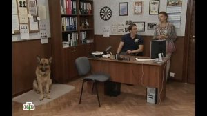 Возвращение Мухтара 2. Тихий человек