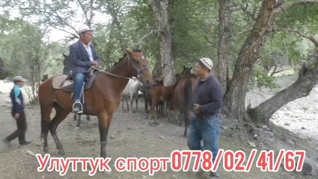 Балбандын Кара ШУМКАРЫ смотреть онлайн