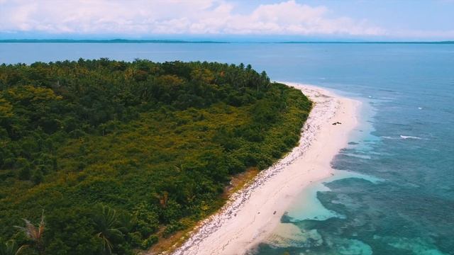 BACKPACKING | Panama, Costa Rica, Mexico смотреть онлайн