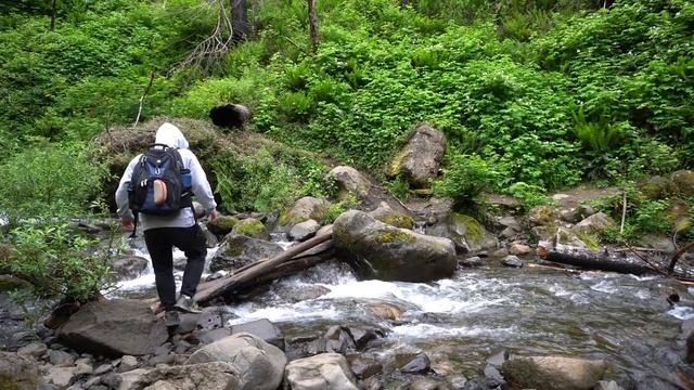 Solo Hiking for 22 Miles at Columbia River Gorge смотреть онлайн