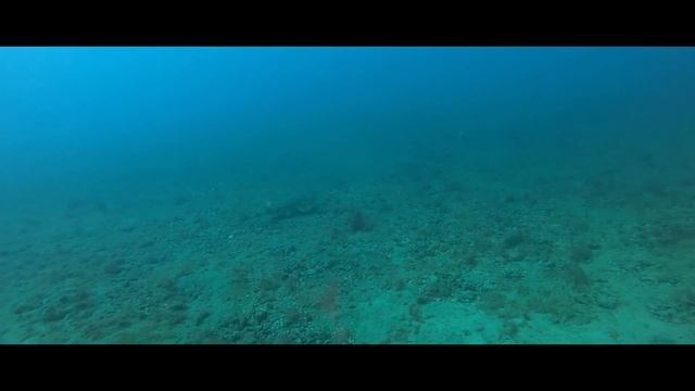 The Tuna Wrecks and Craic with the Mac - Lanzarote 2022 смотреть онлайн