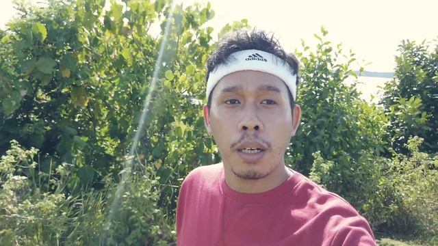 Cara Mudah Bikin Story DJI Osmo Pocket | Use DJI Mimo App смотреть онлайн