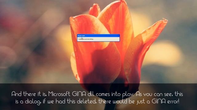 What happens if you delete all the resources from Windows? смотреть онлайн