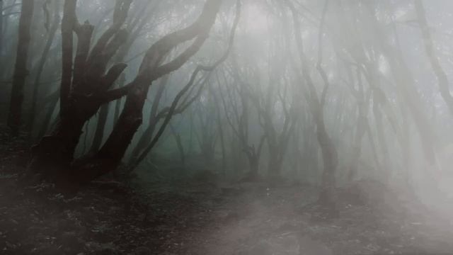 The Whistling in the woods | Second Account смотреть онлайн