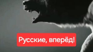 Русские, вперёд!🇷🇺 Россия. Путин