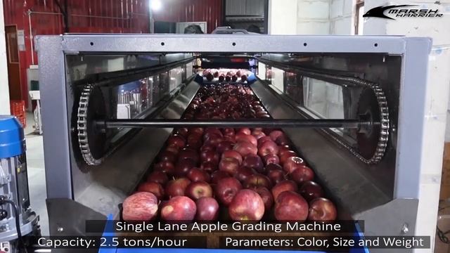 Single lane Electronic Apple Grading Machine Made In India смотреть онлайн
