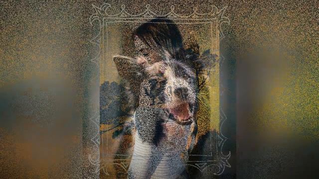 Mix Stickers Pack in Photo Studio | Photo Manipulation | Edit Photos for Instagram смотреть онлайн