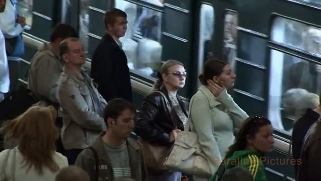 Дельфин (Dolphin) - Если просто смотреть онлайн