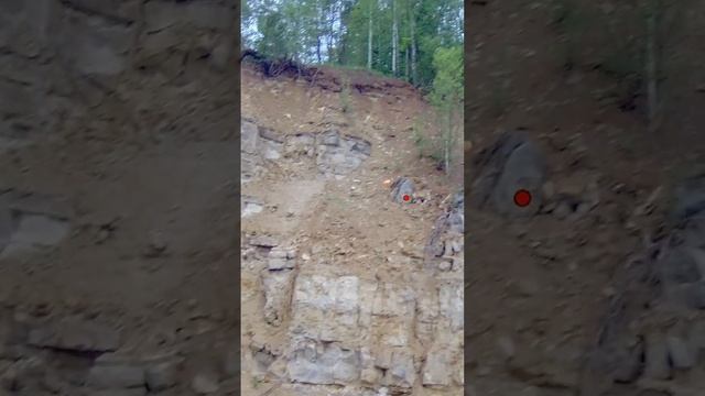 Учу стрельбе по взлетающему гусю в Спортинг клубе Парк отеле Цитадель Тула смотреть онлайн