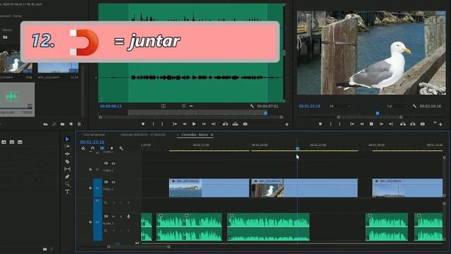 ⏱️Cómo EDITAR más RÁPIDO en Adobe Premiere Pro 2020 | Comandos (+20) | Macarron Academy #3 смотреть онлайн