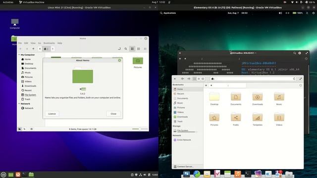 Linux Mint 21 vs Elementary OS 6 смотреть онлайн