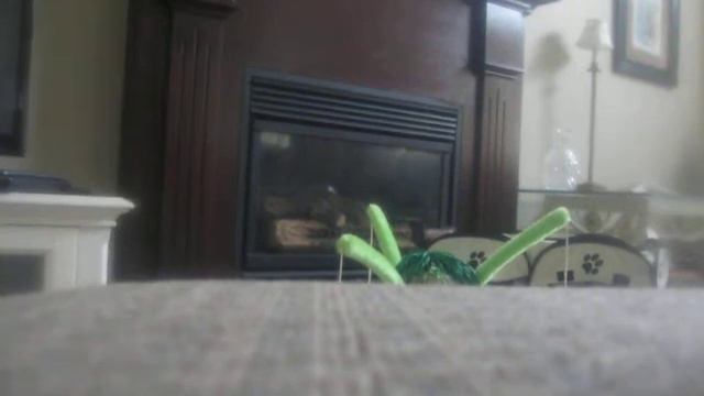 Genesis Today:Goji Pure Energy смотреть онлайн