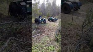 ЧТО МОЖЕТ БОЛОТОХОД