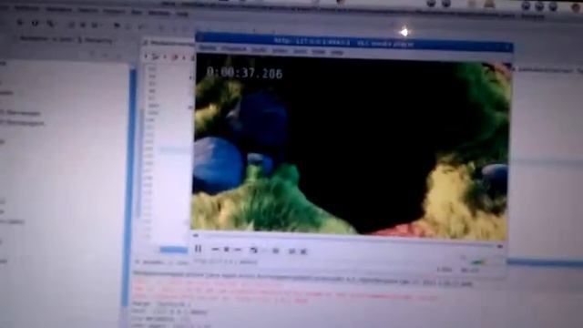 HTTP Live Media Server (Channel Switching) смотреть онлайн