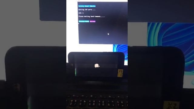 Factory Reset Device | Ramdisk смотреть онлайн