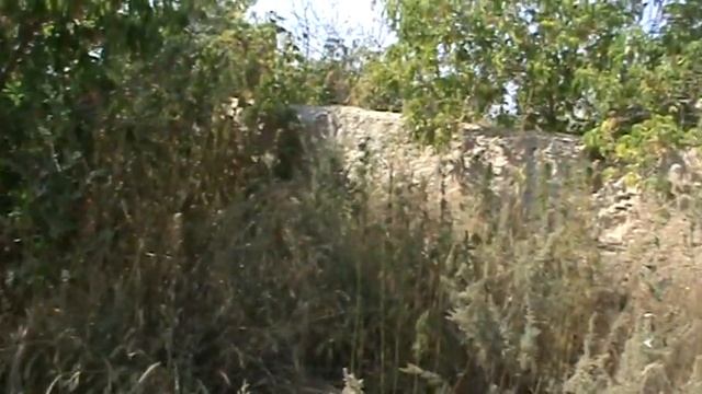 Развалины домов в Новокиевке, которым более 100 лет смотреть онлайн