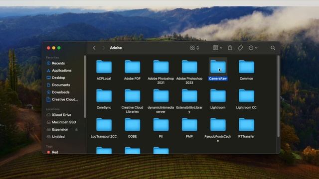Adobe Lightroom Classic - GPU Acceleration Grayed Out Fix смотреть онлайн