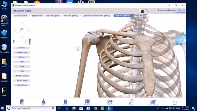 HUMAN ANATOMY EXPLAINED IN 3D|HUMAN ANATOMY BONES APP [HINDI/URDU] смотреть онлайн