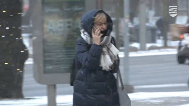 Принять участие в переписи населения можно до субботы смотреть онлайн