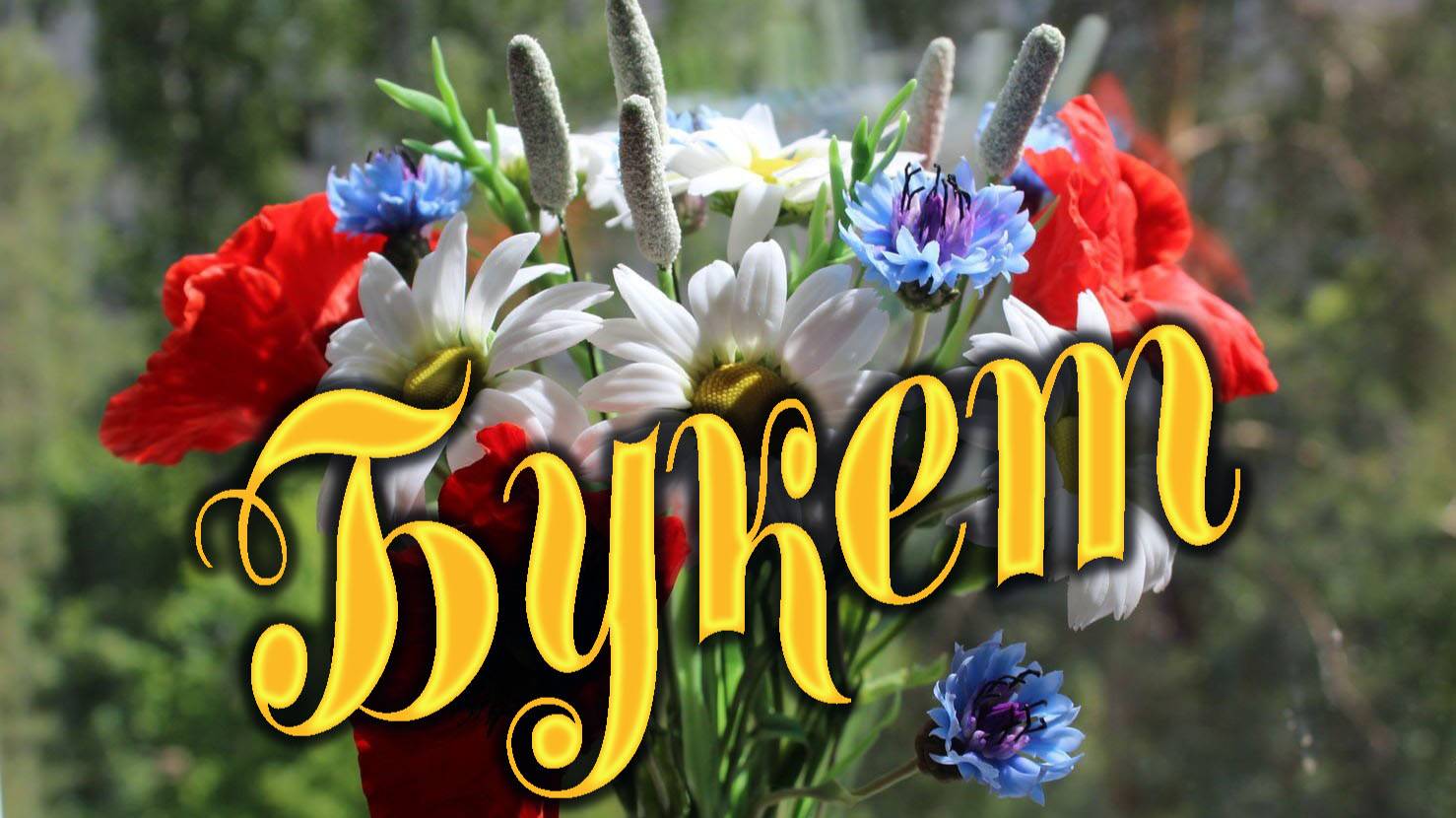 Букет. Песни старого шарманщика.