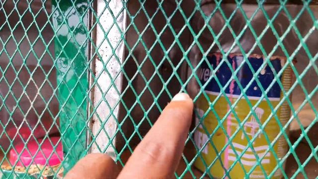 Naye Cage Me Lakwe Wale Kabutar Ko Shift Kiya | Paralyzed Pigeons Shifted To New Cage смотреть онлайн