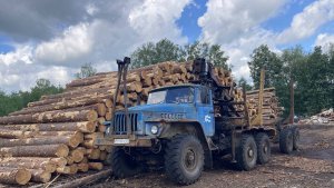 Операция Пилорама. В отпуск на УАЗике. Часть 9