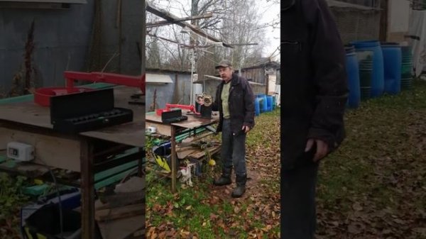 китайская борона, что делать