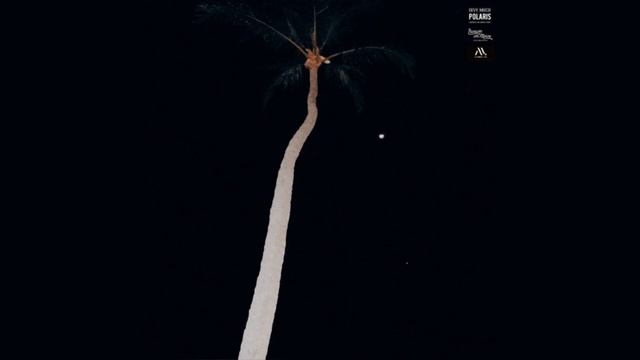 Bevy Maco - Polaris смотреть онлайн