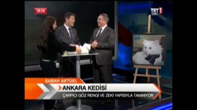 Pursaklar Belediye Başkanı Selçuk ÇETİN TRT 1 Canlı Yayın смотреть онлайн