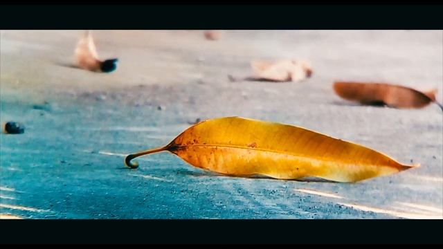 Zenfone Go footage+Final cut pro X Cinematic look смотреть онлайн