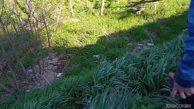 Мы с Донниелем взорвали кегу в канаве смотреть онлайн