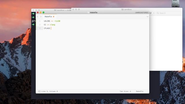 Installing cs50 library on macOS Part 4 смотреть онлайн