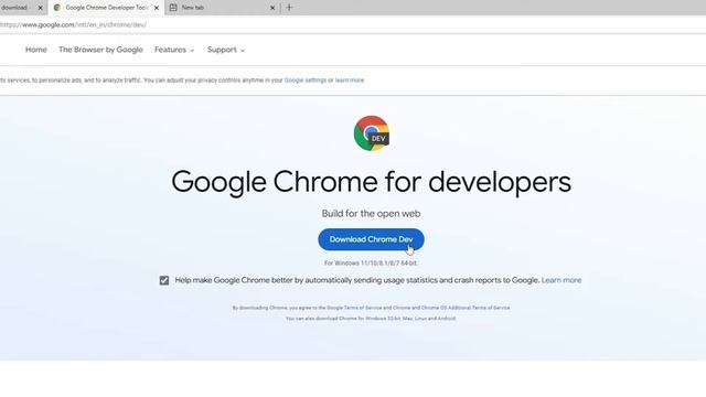 How to Download & Install Google Chrome Dev Browser in Windows 11 | Google Chrome Developer Tools смотреть онлайн