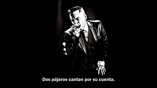 Steve Naghavi - Love Is Walking Home (Subtitulado En Español)