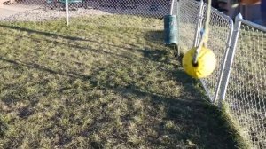 Пошли Рейсы Так Рейсы. Через Всю Америку На Штат Айдахо.