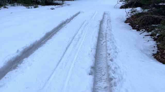 Охота на Глухаря и утку на Северном Урале смотреть онлайн