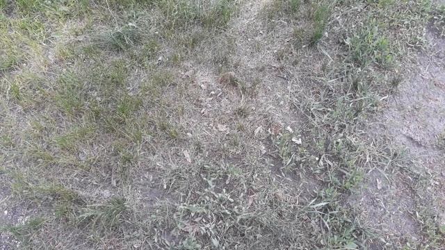 Цены на железо и цветной металл продолжают снижаться. смотреть онлайн