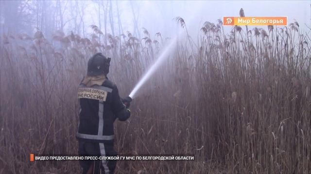 Проблема ландшафтных пожаров в Белгородской области смотреть онлайн