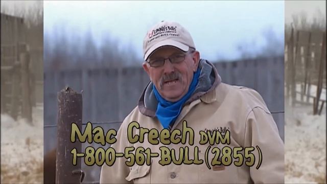 2014 Mac Creech's Outlook on the Canadian Cattle Market - Canada's Bulls - M.C. Quantock - 17 of 22 смотреть онлайн