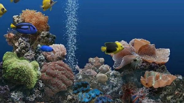Apple Macintosh - SereneScreen Marine Aquarium Screen Saver